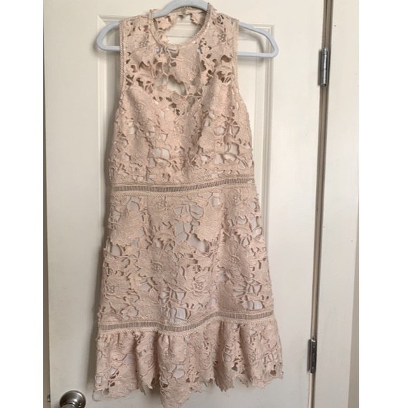 SAYLOR Dresses & Skirts - Saylor blush lace dress